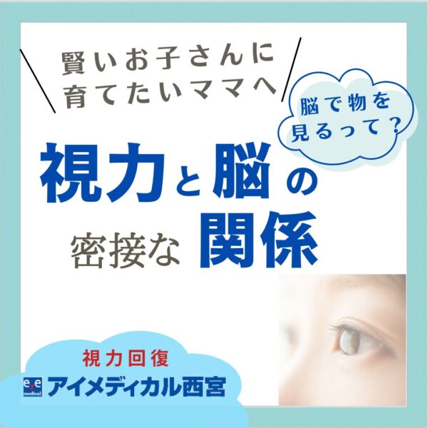 視力と脳・首の関係